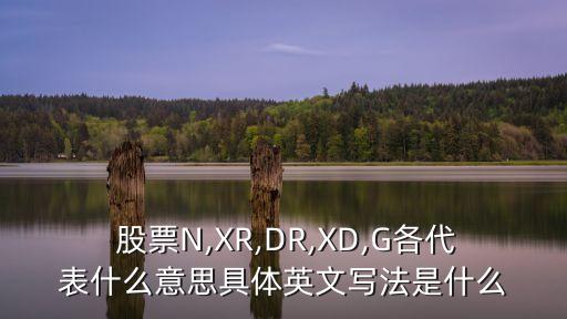  股票N,XR,DR,XD,G各代表什么意思具體英文寫法是什么