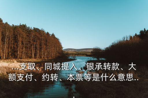 ...支取、同城提入、銀承轉(zhuǎn)款、大額支付、約轉(zhuǎn)、本票等是什么意思...