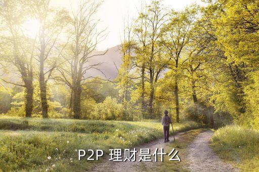 P2P 理財是什么