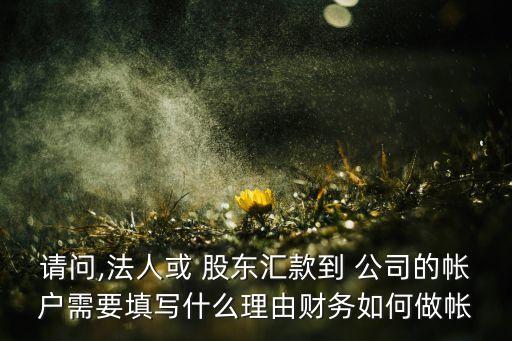 請(qǐng)問(wèn),法人或 股東匯款到 公司的帳戶需要填寫什么理由財(cái)務(wù)如何做帳