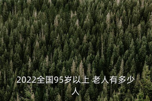 2022全國95歲以上 老人有多少人