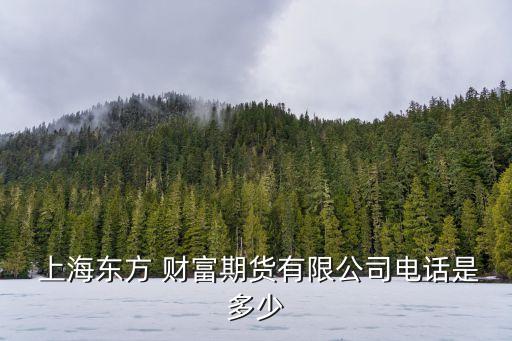 上海東方財(cái)富網(wǎng)地址,盛美上海東方財(cái)富網(wǎng)