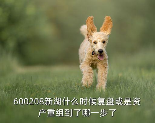 600208新湖什么時(shí)候復(fù)盤或是資產(chǎn)重組到了哪一步了