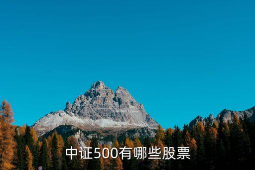 中證500有哪些股票