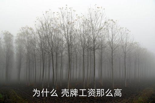 為什么 殼牌工資那么高