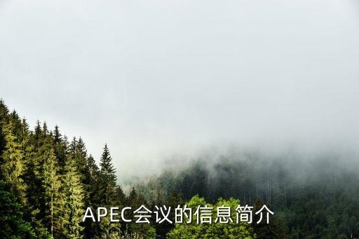 apec中國工商理事會秘書處