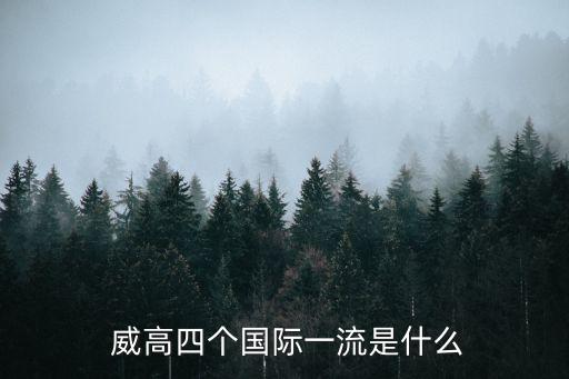  威高四個國際一流是什么