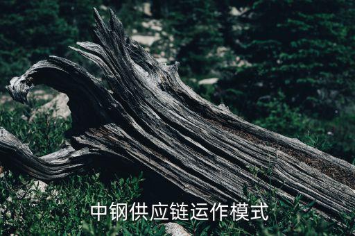 中鋼上海鋼材加工公司,中鋼長(zhǎng)春鋼材加工有限公司怎么樣