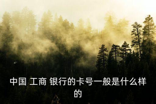 中國(guó) 工商 銀行的卡號(hào)一般是什么樣的