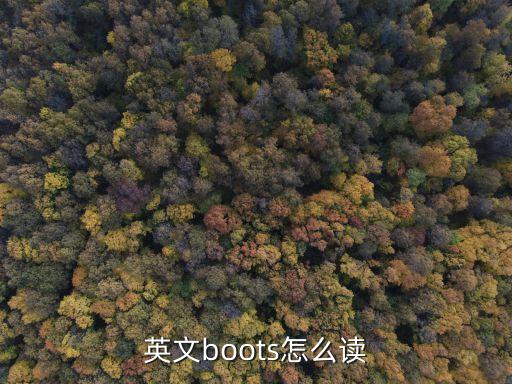 英文boots怎么讀