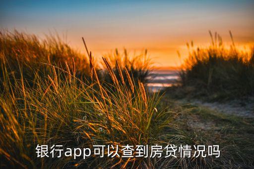  銀行app可以查到房貸情況嗎