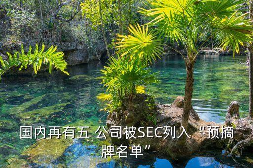 國(guó)內(nèi)再有五 公司被SEC列入“預(yù)摘牌名單”