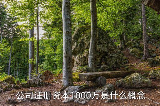  公司注冊(cè)資本1000萬(wàn)是什么概念