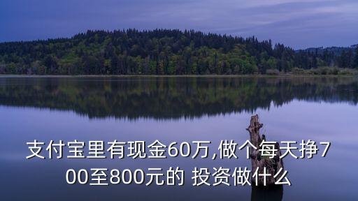 支付寶里有現(xiàn)金60萬,做個每天掙700至800元的 投資做什么