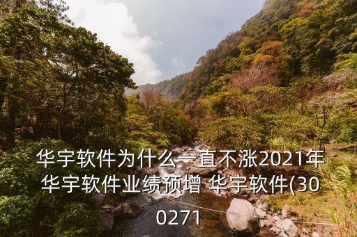  華宇軟件為什么一直不漲2021年 華宇軟件業(yè)績(jī)預(yù)增 華宇軟件(300271