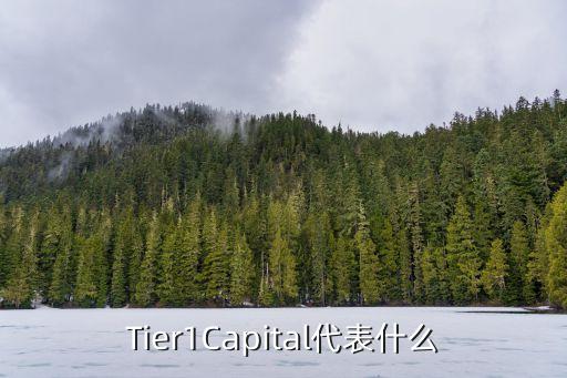 Tier1Capital代表什么