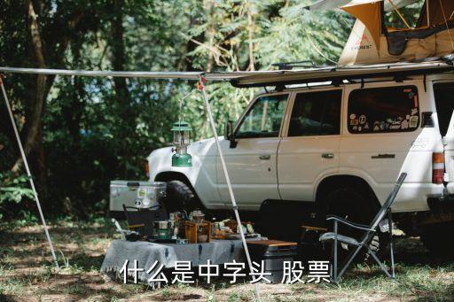 中發(fā)科技股票吧,中發(fā)海運股票