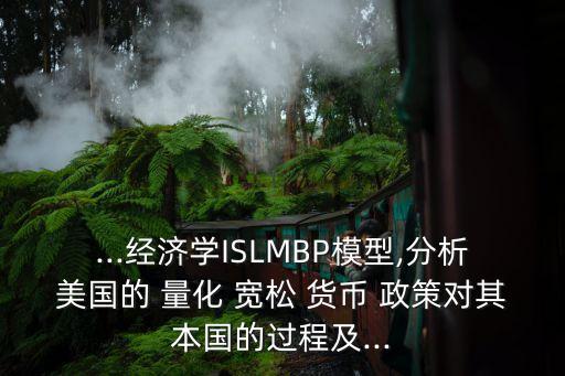 ...經濟學ISLMBP模型,分析美國的 量化 寬松 貨幣 政策對其本國的過程及...