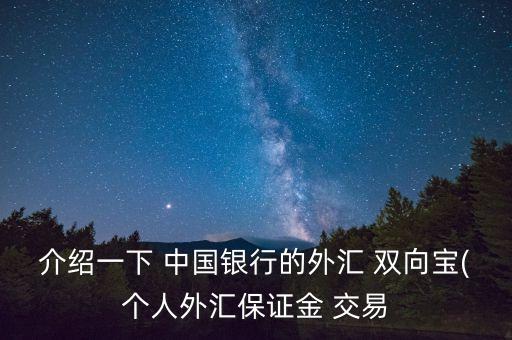 介紹一下 中國銀行的外匯 雙向寶(個人外匯保證金 交易