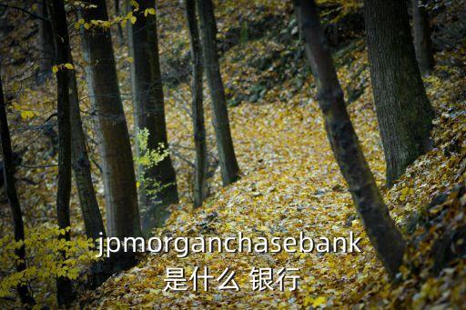 jpmorganchasebank是什么 銀行