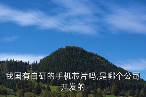 中國有核心技術的企業(yè),企業(yè)核心技術內(nèi)涵 多選