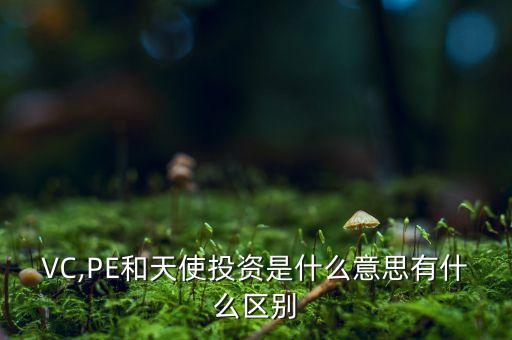 VC,PE和天使投資是什么意思有什么區(qū)別