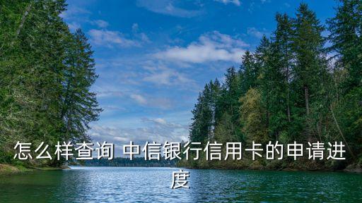 怎么樣查詢 中信銀行信用卡的申請進(jìn)度