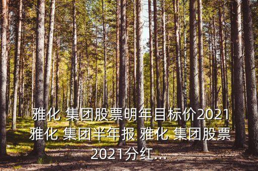  雅化 集團(tuán)股票明年目標(biāo)價(jià)2021 雅化 集團(tuán)半年報(bào) 雅化 集團(tuán)股票2021分紅...