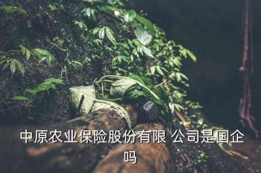  中原農(nóng)業(yè)保險(xiǎn)股份有限 公司是國(guó)企嗎