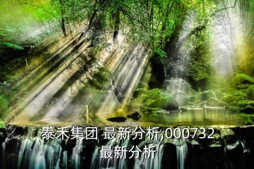  泰禾集團(tuán) 最新分析,000732 最新分析