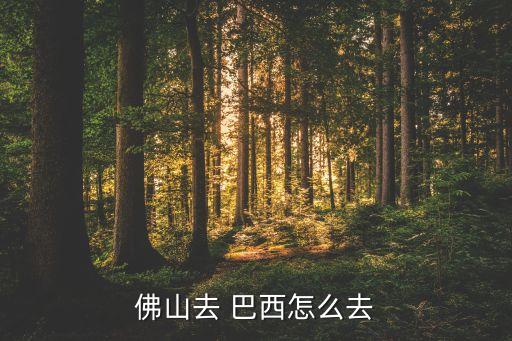 佛山去 巴西怎么去