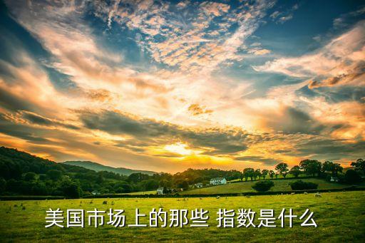 道瓊斯指數(shù)成份公司,標(biāo)普道瓊斯指數(shù)公司