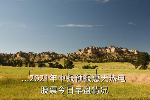 ...2021年中報(bào)預(yù)報(bào)惠天熱電 股票今日早盤情況