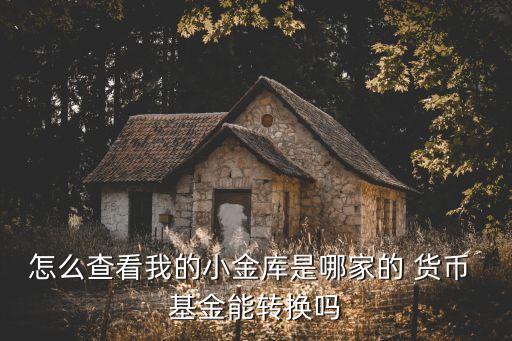 怎么查看我的小金庫是哪家的 貨幣 基金能轉(zhuǎn)換嗎