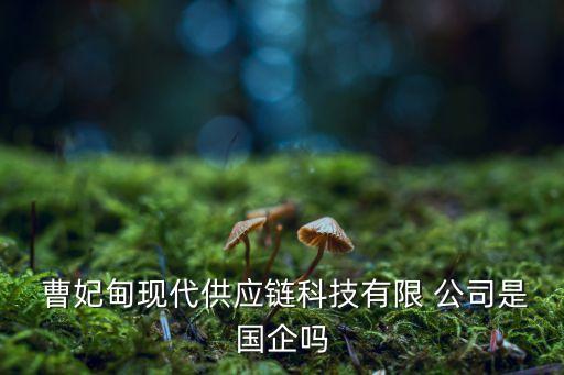  曹妃甸現(xiàn)代供應(yīng)鏈科技有限 公司是國企嗎