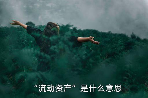 “流動(dòng)資產(chǎn)”是什么意思