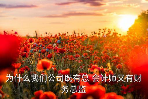 為什么我們公司既有總 會(huì)計(jì)師又有財(cái)務(wù)總監(jiān)