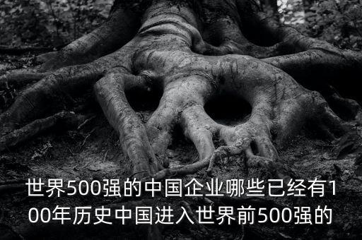 世界500強(qiáng)的中國(guó)企業(yè)哪些已經(jīng)有100年歷史中國(guó)進(jìn)入世界前500強(qiáng)的