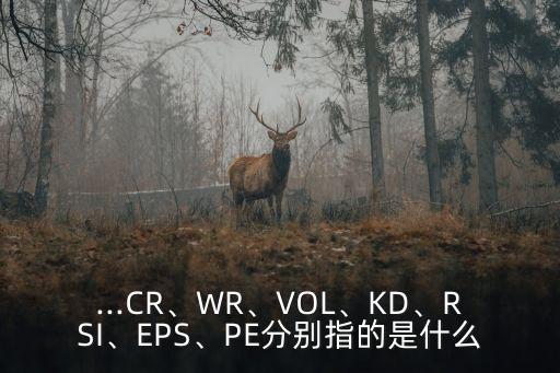 ...CR、WR、VOL、KD、RSI、EPS、PE分別指的是什么