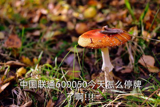  中國(guó)聯(lián)通600050今天怎么停牌了啊!!!