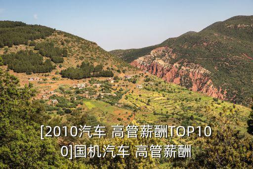 [2010汽車 高管薪酬TOP100]國機汽車 高管薪酬