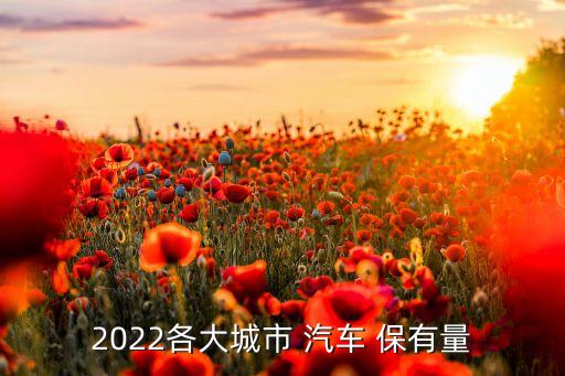 2022各大城市 汽車 保有量