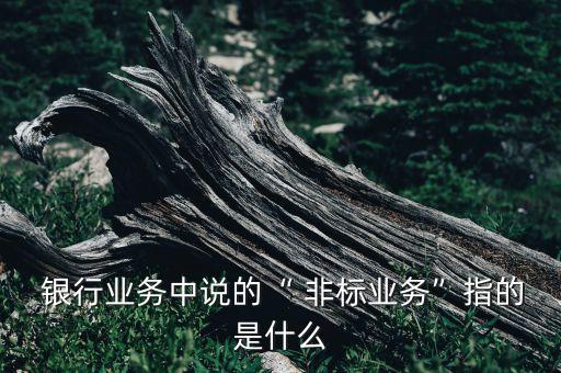  銀行業(yè)務(wù)中說的“ 非標(biāo)業(yè)務(wù)”指的是什么