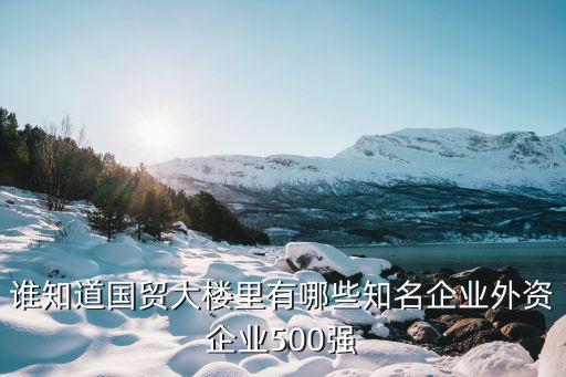 誰(shuí)知道國(guó)貿(mào)大樓里有哪些知名企業(yè)外資企業(yè)500強(qiáng)