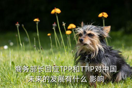 商務(wù)部長(zhǎng)回應(yīng)TPP和TTIP對(duì)中國(guó)未來(lái)的發(fā)展有什么 影響