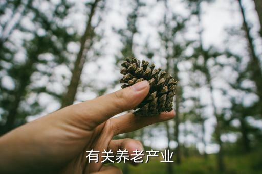 保利地產(chǎn)基金