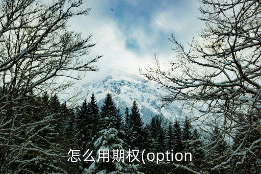 怎么用期權(option