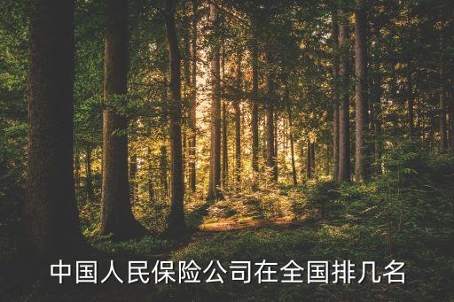 太保安聯(lián)健康保險股份有限公司