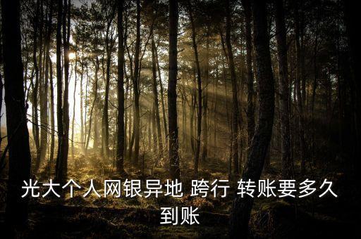 光大個人網(wǎng)銀異地 跨行 轉(zhuǎn)賬要多久到賬