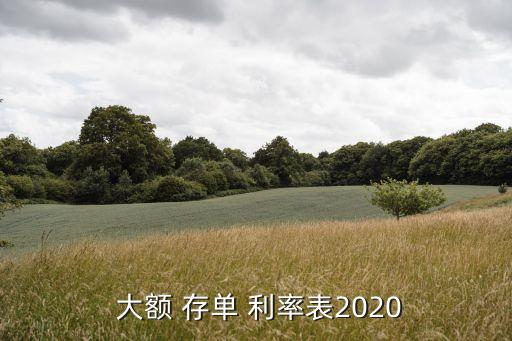  大額 存單 利率表2020